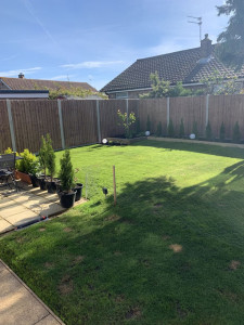 Photo de galerie - Tonte de pelouse - Débroussaillage