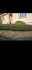 Photo de galerie - Petry 