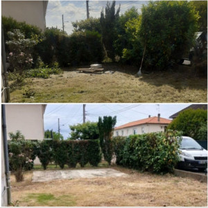 Photo de galerie - Nettoyage et taille jardin 