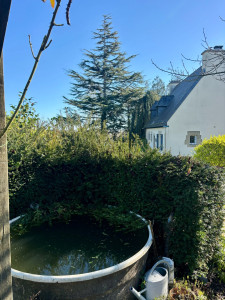 Photo de galerie - Taille de haies et d'arbustes