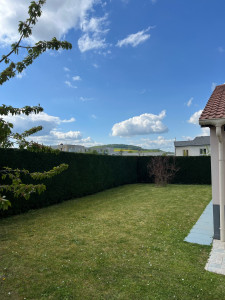 Photo de galerie - Taille et mise en forme de haie.