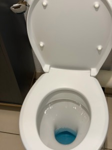 Photo de galerie - Nettoyage sanitaire 
