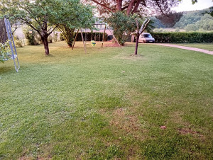 Photo de galerie - Tonte de printemps ?