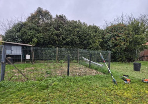 Photo de galerie - Taille de haies et d'arbustes