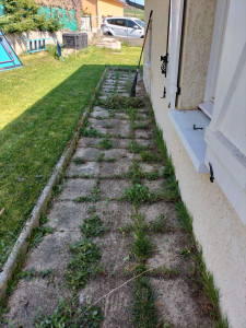 Photo de galerie - Paysagiste - Aménagement du jardin