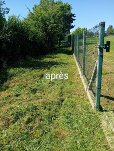 Photo de galerie - Après débroussaillage