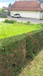 Photo de galerie - Paysagiste - Aménagement du jardin