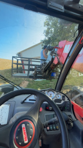 Photo de galerie - Taillage d’un arbre et élagage, disponible pour tout l’entretien du jardin et du paysage 