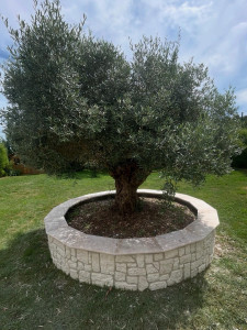 Photo de galerie - Paysagiste - Aménagement du jardin