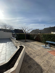 Photo de galerie - Taille d’arbre en tête de chat 