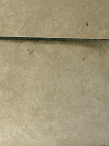 Photo de galerie - Ménage