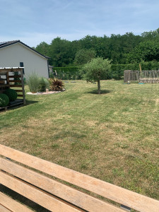 Photo de galerie - Garde chien