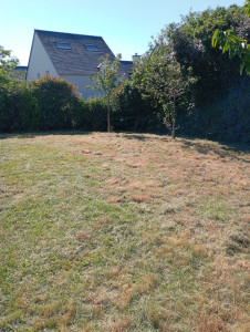 Photo de galerie - Tonte de pelouse - Débroussaillage