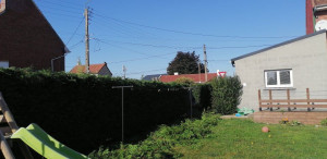 Photo de galerie - Chantier taille de haie