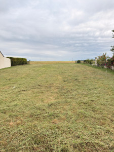 Photo de galerie - Débroussaillage terrain de 1200 m2.