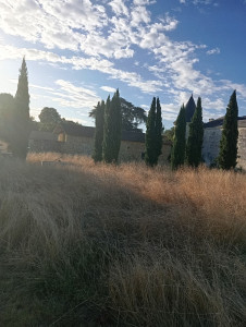 Photo de galerie - Entretien du château 