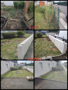 Photo de galerie - Tonte, enlèvement, de grillage et bac potager, taille haie