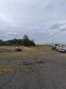 Photo de galerie - Tonte de pelouse - Débroussaillage