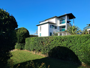 Photo de galerie - Taille de haies.