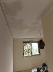 Photo de galerie - Peinture - Tapisserie