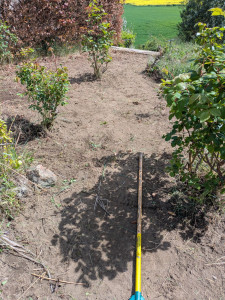 Photo de galerie - Nettoyage manuel de toutes les mauvaises herbes pour création de massif