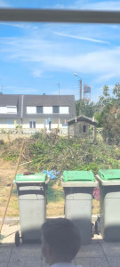 Photo de galerie - Elagage et coupe d'arbres