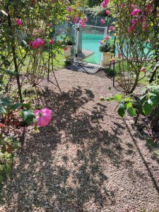 Photo de galerie - Jardinier