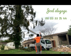 Photo de galerie - élagage 