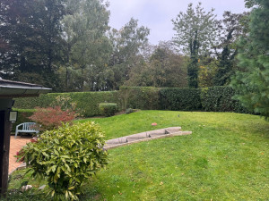 Photo de galerie - Taille de haies et d'arbustes