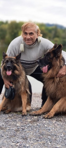 Photo de galerie - Voici de nouveaux pensionnaires, de pure berger allemand à poils longs. Je vous présente Pako le mâle et Lona.