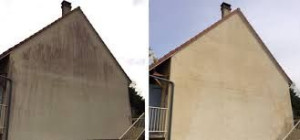 Photo de galerie - Nettoyage algues rouges