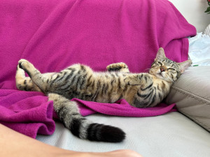 Photo de galerie - Eee