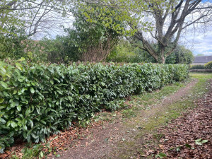 Photo de galerie - Après passage 