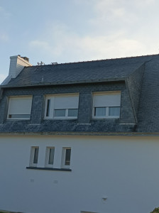 Photo de galerie - Peinture - Tapisserie