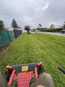 Photo de galerie - Tonte 