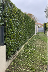 Photo de galerie - Taille de haie et nettoyage des déchets verts pour un jardin propre et entretenu.