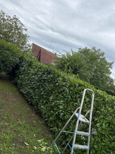 Photo de galerie - Cliente satisfaite a 100%