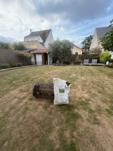 Photo de galerie - Entretien pelouse - Scarification / Semis Gazon / Ajout d