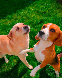 Photo de galerie - Garde à domicile 