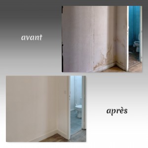 Photo de galerie - Rénovation d'un appartement très dégradé à Blois 