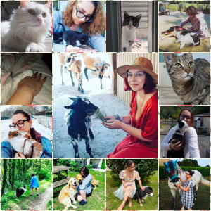 Photo de galerie - Panel de photos des différents animaux gardés au cours de ma vie, et encore ils ne tiennent pas tousse dans le cadre ! ?