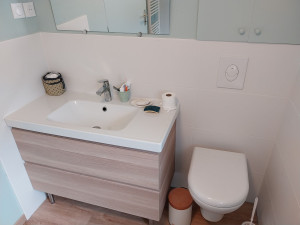 Photo de galerie - Pose meuble vasque et vasque raccordement, WC
 suspendu 