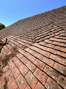 Photo de galerie - Grattage des mousses 