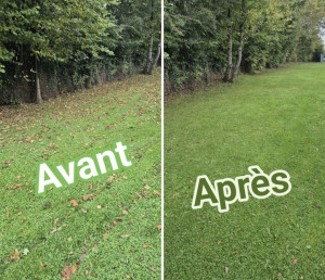 Photo de galerie - Soufflage et ramassage des feuilles 