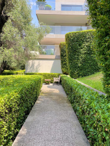 Photo de galerie - Taille de haies et d'arbustes