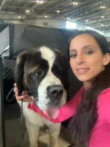 Photo de galerie - Garde chien