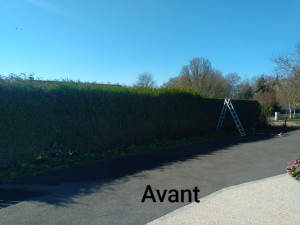 Photo de galerie - Taille de haies et d'arbustes