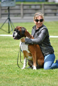 Photo de galerie - Situation en exposition européenne avec mon boxer