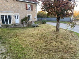 Photo de galerie - Après débroussaillage 