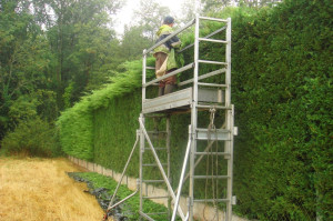 Photo de galerie - ´